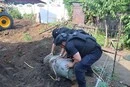 У Запоріжжі 500-кілограмова авіабомба впала біля житлового будинку