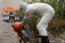 Гинуть риба, птахи та комахи. У Києві рятувальники очищають озеро, в яке після російської атаки потрапило паливо
