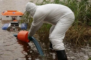 Забруднення негативно впливає на екосистему водойми