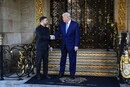 Білий дім підтвердив зустріч Трампа і Зеленського на саміті НАТО