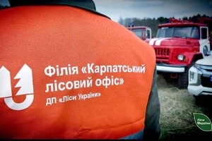 Правоохоронці перевіряють тендер Карпатського лісового офісу на 44,7 млн грн