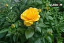 В Україні грози з градом, на сході значні дощі: погода на 10 липня 2026