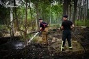 Два тижні боротьби з вогнем: пожежу в Чорнобильській зоні ліквідовано (фото, відео)