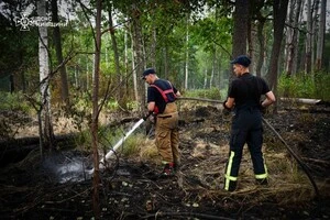 Станом на 10 липня пожежу повністю ліквідовано