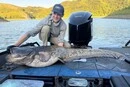 Рибалка виловив у Дністрі 50-кілограмового сома