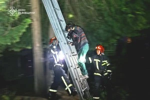 Жінка впевнено злізла з дерева  міцно тримаючи на руках свого чотирилапого втікача