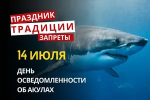 14 июля: какой сегодня праздник, традиции и запреты