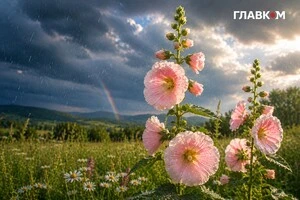 Прогноз погоди на 15 липня