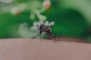 Медики зафіксували спалах небезпечних хвороб на курортах Європи