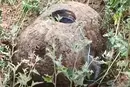 Біля Одеси виявлено дрейфуючу міну, яка загрожувала життю людей