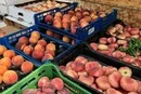Росія взялася за турецькі персики після заяви Анкари про підтримку України