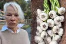 Цибуля, гарбузи та соняшники. Памела Андерсон похвалилася урожаєм у своєму саду (відео)