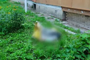 Наразі тривають необхідні слідчі дії, встановлюються всі обставини випадку