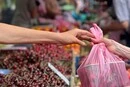 У Києві на вихідних 25-26 липня відбудуться продовольчі ярмарки (адреси)