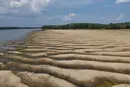 У Румунії зафіксовано найнижчий рівень води в Дунаї за 30 років