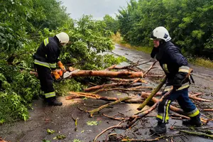 Підрозділи ДСНС розкряжовували повалені дерева