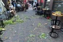 Вінниця: на літній терасі закладу на дівчину впало дерево, постраждала у важкому стані