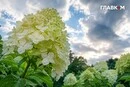 До +29°, але не без негоди: прогноз погоди в Україні на 26 липня