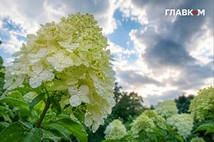 До +29°, але не без негоди: прогноз погоди в Україні на 26 липня