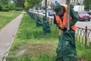 У Києві для поливу дерев встановлено понад 6 тис. спеціальних мішків: як це працює