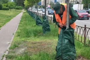Така система поливу дозволяє мінімізувати втрату вологи через випаровування та поверхневий стік