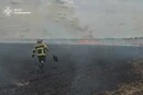 На Броварщині горіло пшеничне поле: рятувальники гасили вогонь майже годину