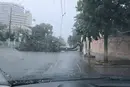 В Одесі ускладнено рух транспорту через негоду