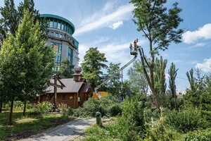 У рамках першого етапу фахівці КП по УЗН Печерського району провели обрізку аварійних дерев