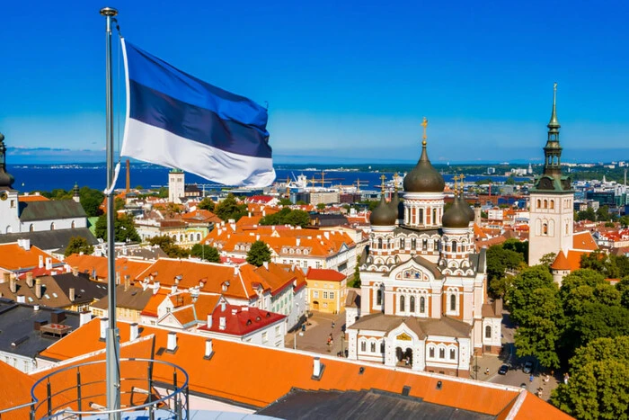 Естонська компанія пояснила рекламу про «підсмажених» росіян