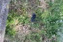 На Київщині загинув 14-річний зачепер: поліція розслідує трагедію