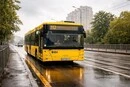 Низка столичних автобусів і один тролейбус 25-26 липня курсуватимуть зі змінами: перелік