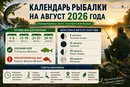 Календарь рыбака на август 2026 года: когда и на что лучше всего клюет