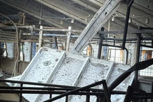 На Сумщині російський дрон убив корів на молочній фермі