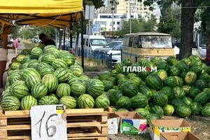 Ціни на кавуни стартують від 16 грн за кілограм