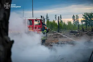 Рятувальникам вдалося локалізувати основні осередки займання
