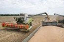 Блокада морських портів. Аграрії звернулися із проханням до уряду