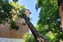 У Києві рятувальники прибрали чотиритонне дерево, що впало на житловий будинок (фото)