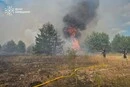 Синоптики попередили про надзвичайну пожежну небезпеку у Києві та області