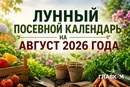 Лунный посевной календарь на август 2026 года: когда сеять, сажать и собирать урожай