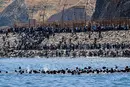 Сибіга розповів, як Росія використовує кризу в Іспанії