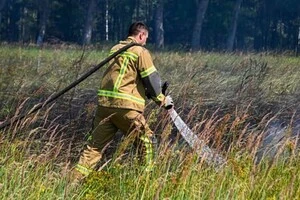 У Вишгородському районі через падіння уламків зайнявся трав'яний настил