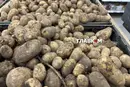 Картопля подорожчає восени? Науковець пояснив, як спека вплинула на врожай