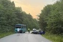 На Львівщині через зіткнення легковика з автобусом травмувалися 11 людей