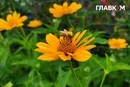До +35° і короткочасні дощі у західних областях: прогноз погоди на 2 серпня