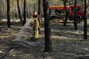 Українські рятувальники розпочали гасіння пожежі у Франції
