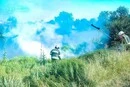 Понад 30 займань за добу. На Київщині вирують пожежі через спеку та посуху