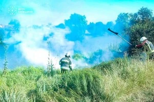 У ДСНС закликали не спалювати суху рослинність і сміття, не залишати непогашені вогнища та не кидати недопалки