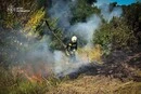 Синоптики попередили про надзвичайну пожежну небезпеку у Києві та області