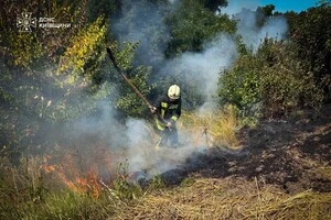 Рятувальники гасять пожежу в екосистемі на Київщині