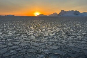 Утворення млинцевого льоду в Антарктиці має кілька варіантів
